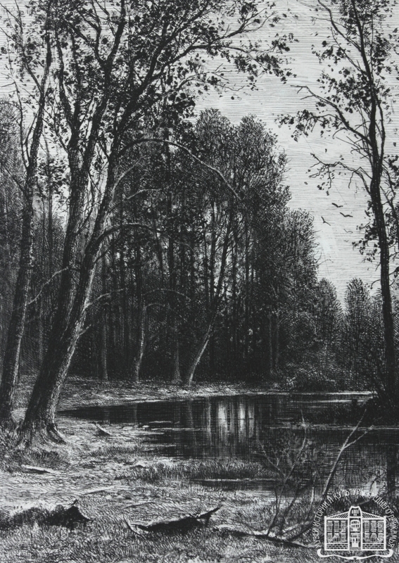 И.И. Шишкин. Группа деревьев. Затишье. 1885 г. Офорт. Коллекция МИКСП.